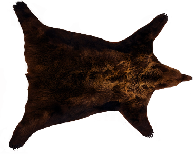 3c01c471d9a0eb223ca293cfed435bf6