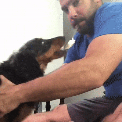 ezgifcom-optimize-1545984703