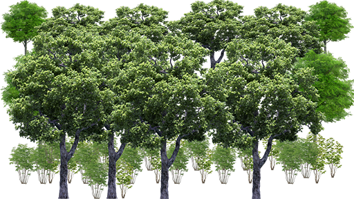 На задний фон