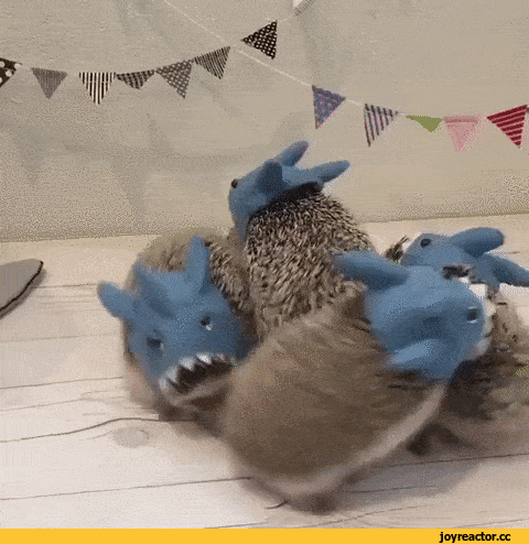 anon-кролики-раньше-было-лучше-3099669