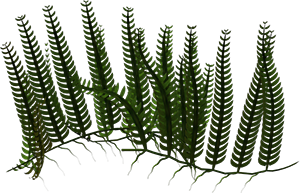 118643014_large_087