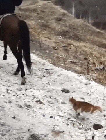 7ef883a6febb9441c6a3eccbf3759859_187992_1547659531