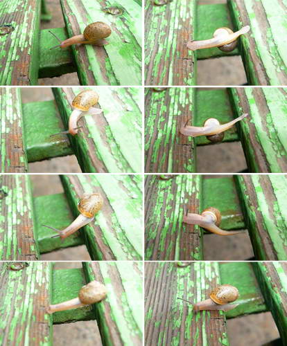 26603192633f8ca59bf1d6cc7a933096fd8f4fc09df