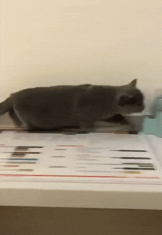 21d7d110bc5a6a927dc73f4bcc36bb1d