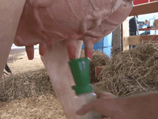 obrabotka_vimeni_stakan_posle