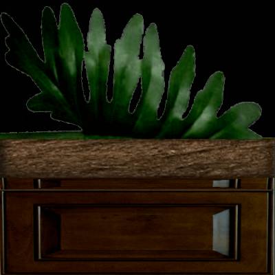 bad5f8fc2362ef339748ad74ee541754