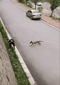 c470f7f95056d746876a708e3ef459c4