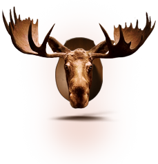 56bf8aa410b52152dc3590e4