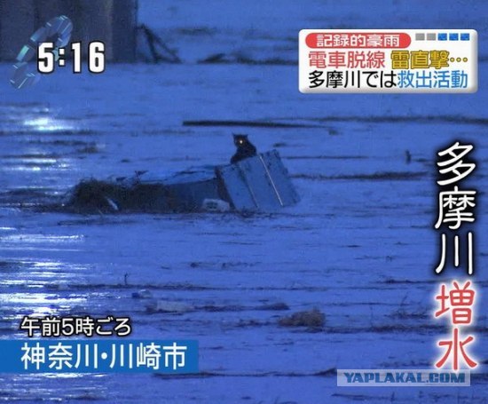 post1313001802179355