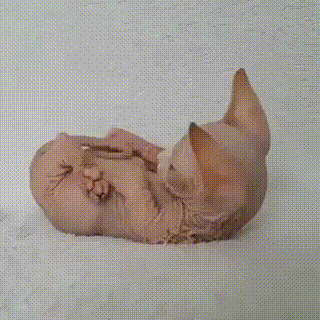 BumazhnySamoletik