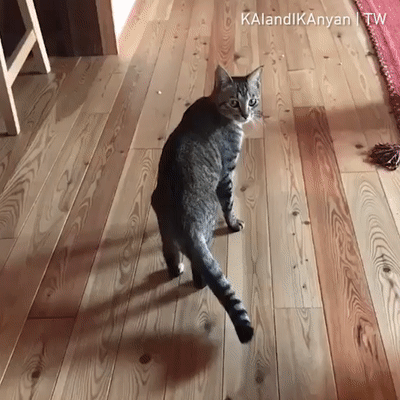 KOTE (1)