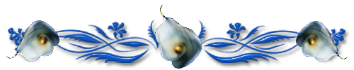 4443
