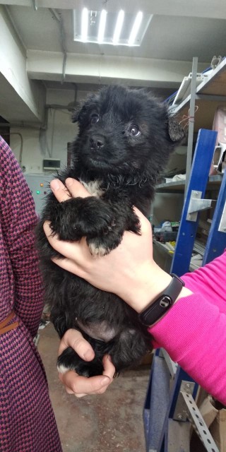 WhatsApp Image 2019-02-11 at 16.30.47