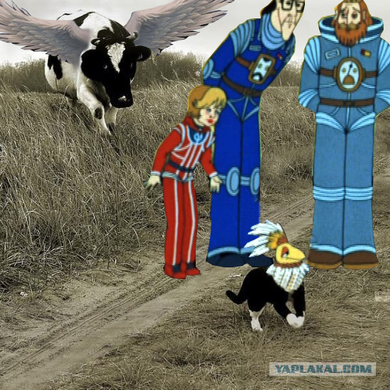 Мотроскин и Корова3