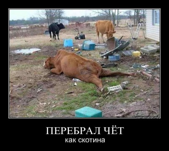 111.42K 0001BDAF 00301D026E62 B2EC0417 H004N5WECVOE