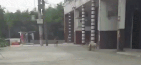 2соб