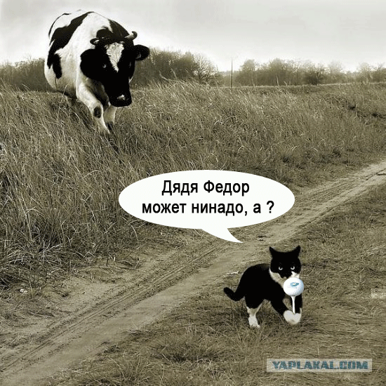 Мотроскин-и-Корова1