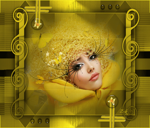 zk-ciche mysli o motylach