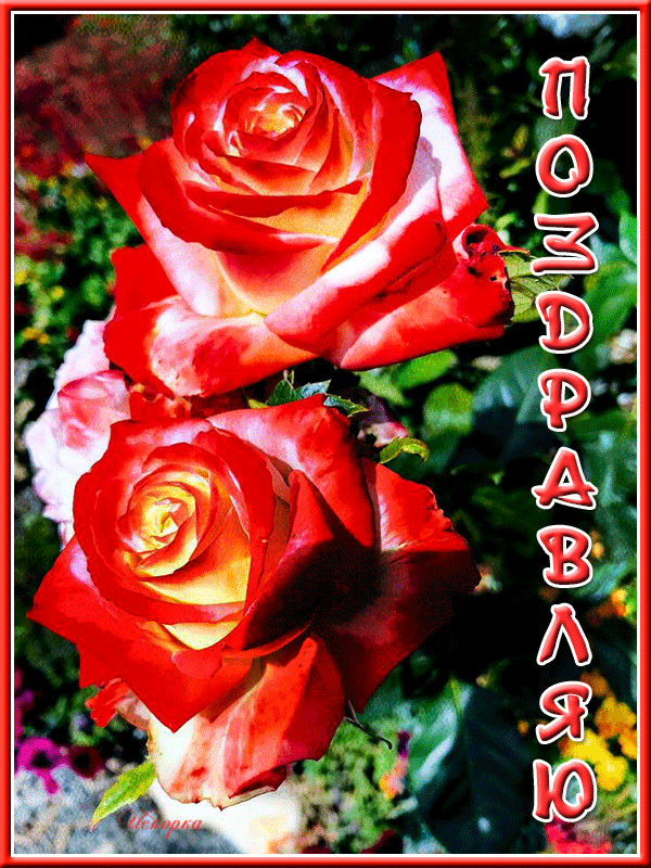 поздравляю