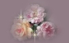 _1_arnusha
