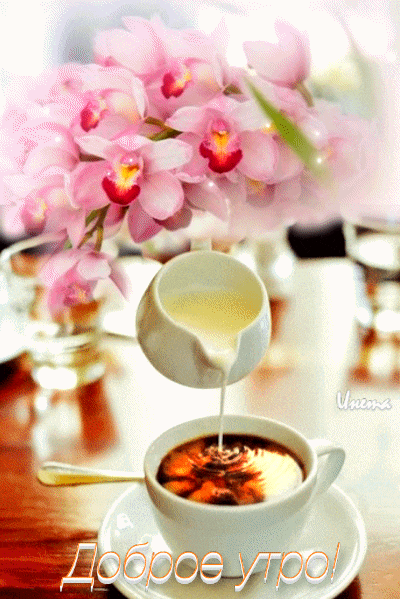 155113896414115131 (1)