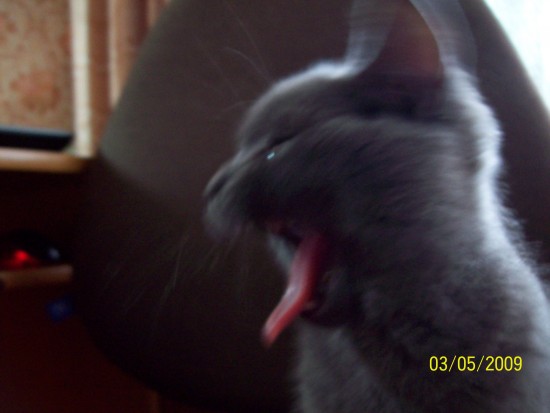 Первомайские 010