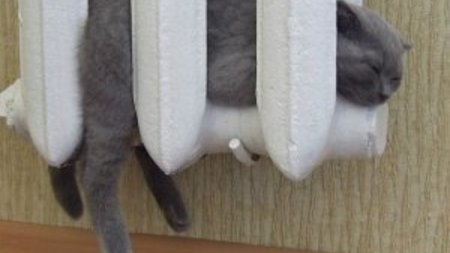 c14d312837e985b2ffc0a61434beb11e