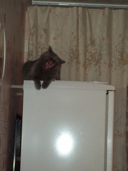 квартира 142