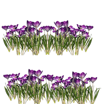 501