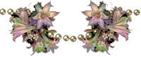 _3_arnusha