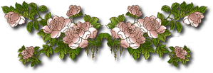 _4_arnusha