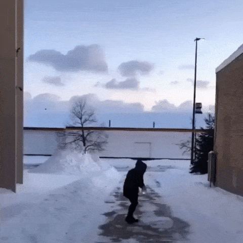 ezgifcom-optimize7-1551097418