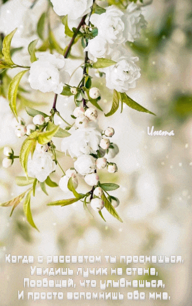 ezgif-2-d3ae177d07b0