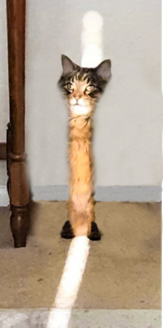 12801886