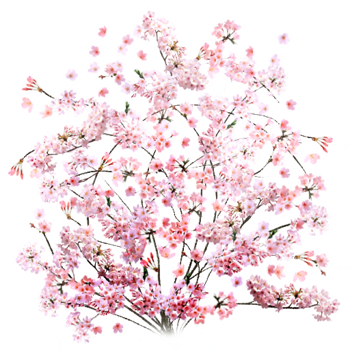d5f23208-67b5-f53c-2716-908b229b154f