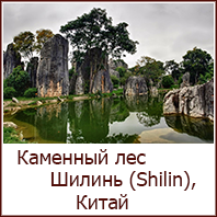 li_png_0017