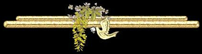 _6_arnusha