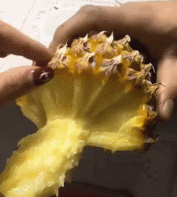 8a2d9345d809fa0fb8f7baf9cda56134