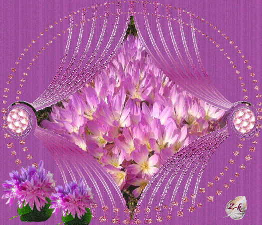 24-zk-ziemowity-wiosenne