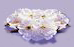 _5_arnusha