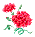 fon_3_7_arnusha