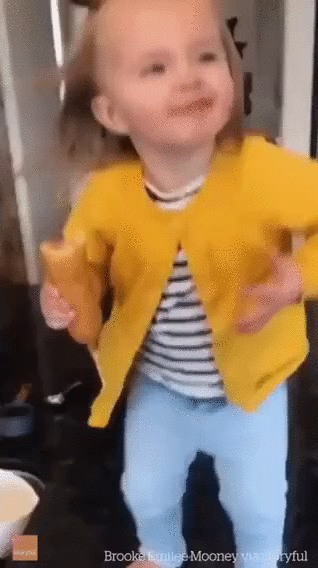 video (1)