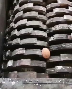 Хочешь жить - умей вертеться!