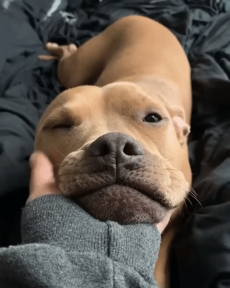 1 (1)