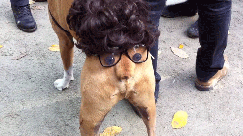 slinky_me_544cec64cc8f2