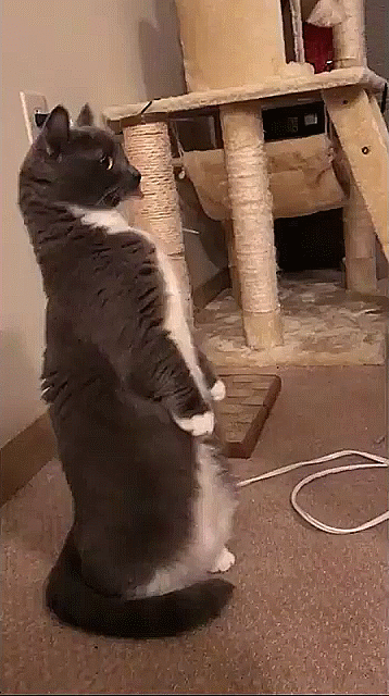 1 (1)