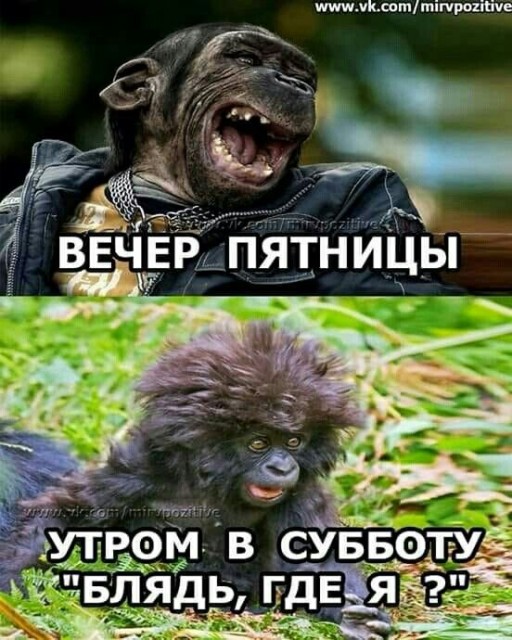 8e94a76a27fb1338f13444e7bab5f1c4