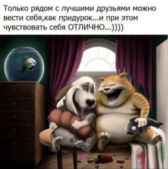 79a1d5a4bca9ca51037eda81d8eeb80a