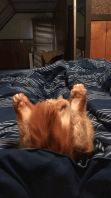 9425bdcd127e3460c89b1d42fba5173a