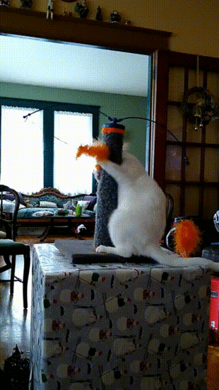 3154633021617038 (1)